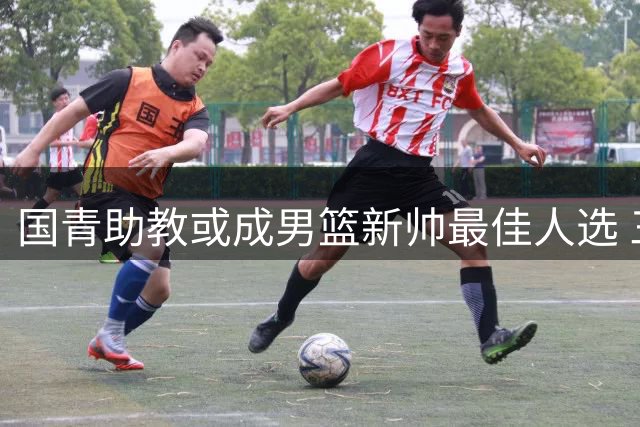 国青助教或成男篮新帅最佳人选 三大优势超越郭士强