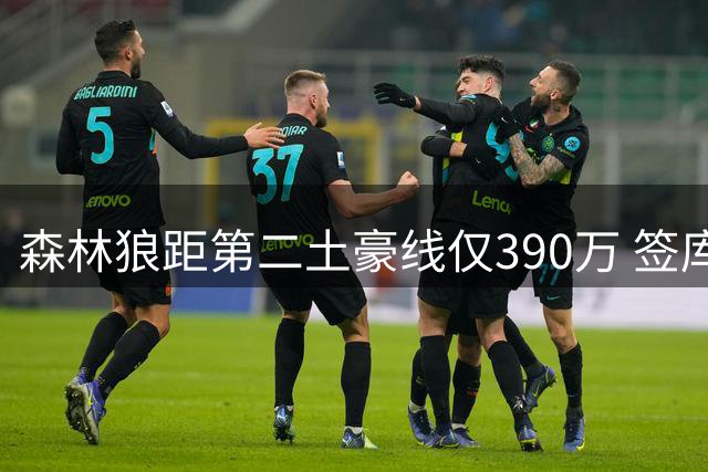 森林狼距第二土豪线仅390万 签库明加需先交易腾空间